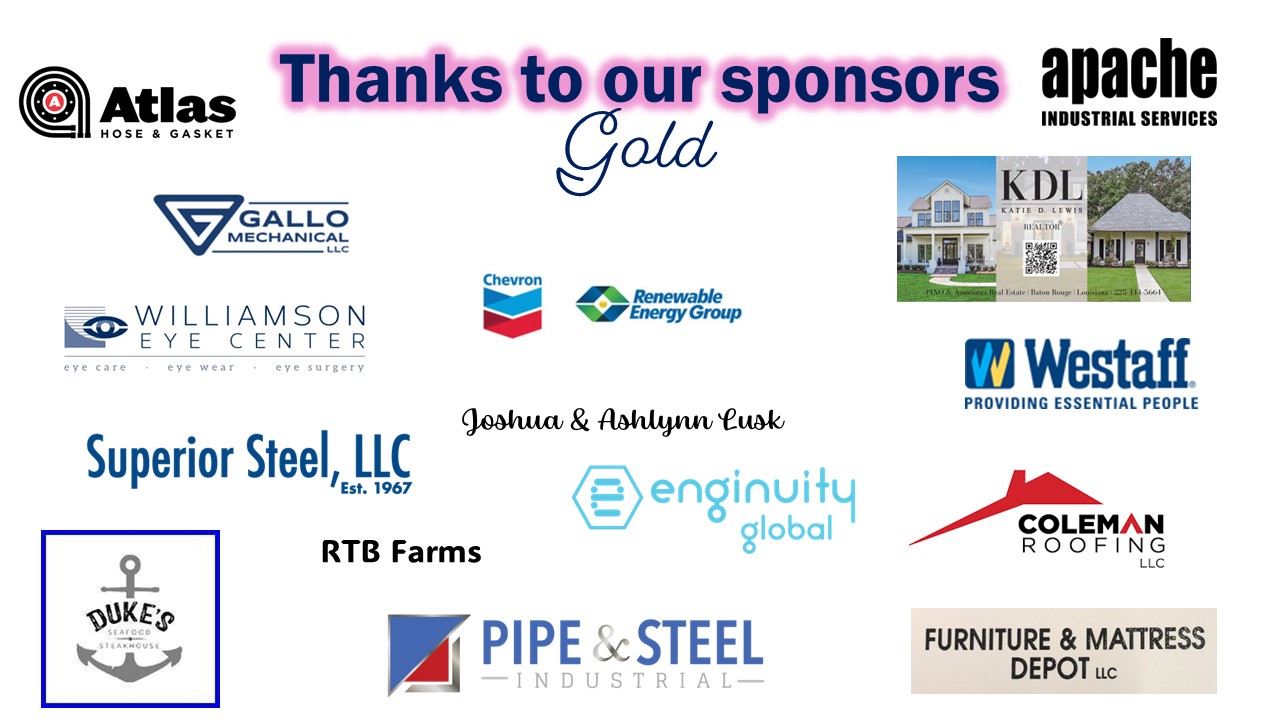 Gold Sponsors - Group 1